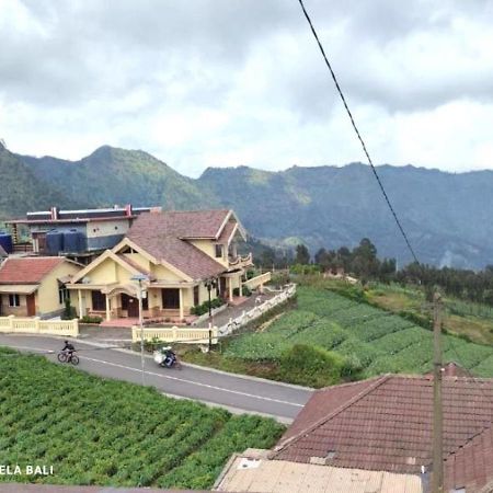 Tengger Indah Bromo By Abm מראה חיצוני תמונה