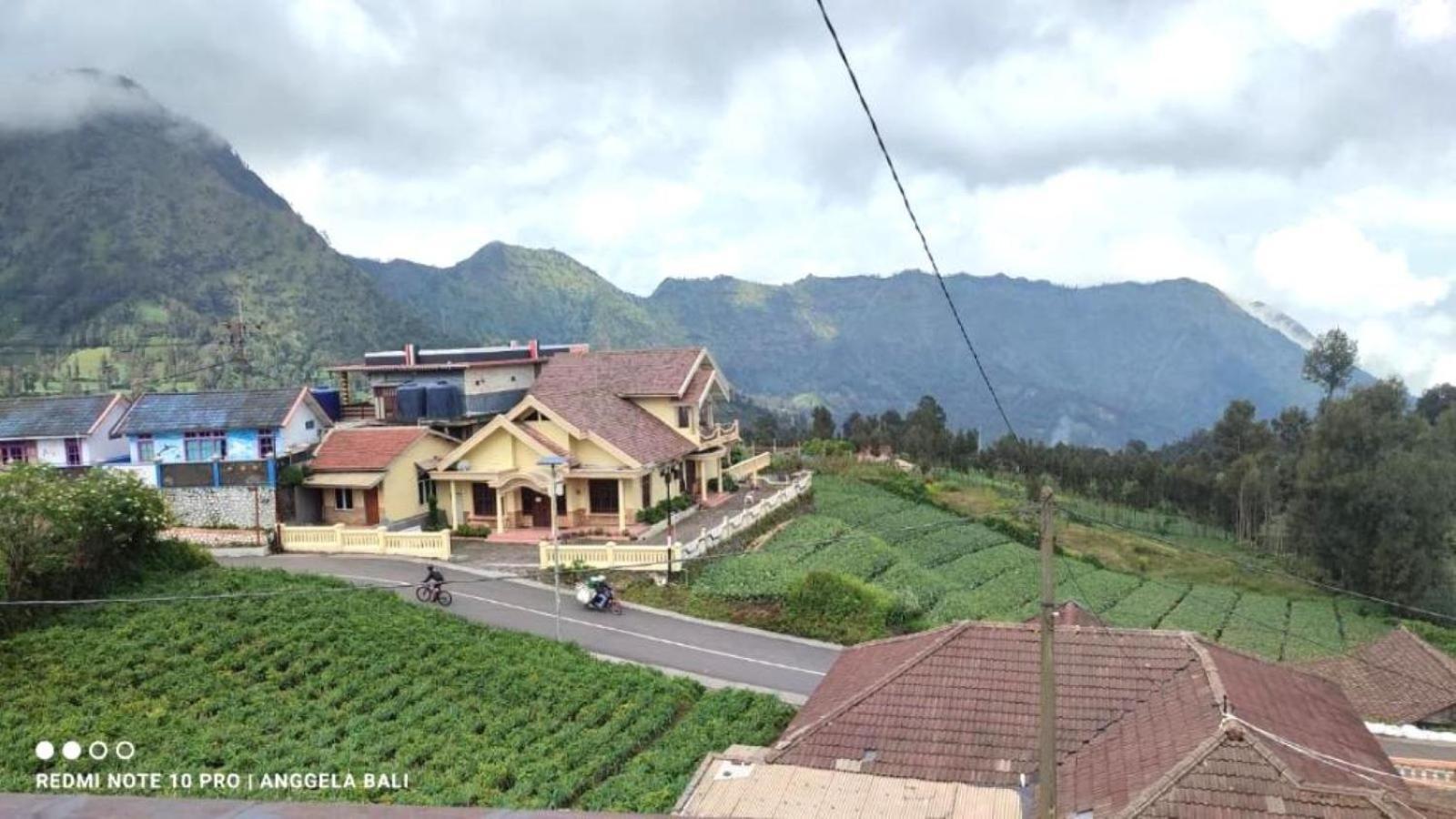 Tengger Indah Bromo By Abm מראה חיצוני תמונה